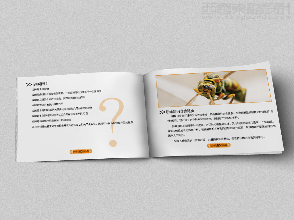 北京泰斗生物醫(yī)藥科技有限公司產(chǎn)品手冊設計之胡峰介紹內頁設計