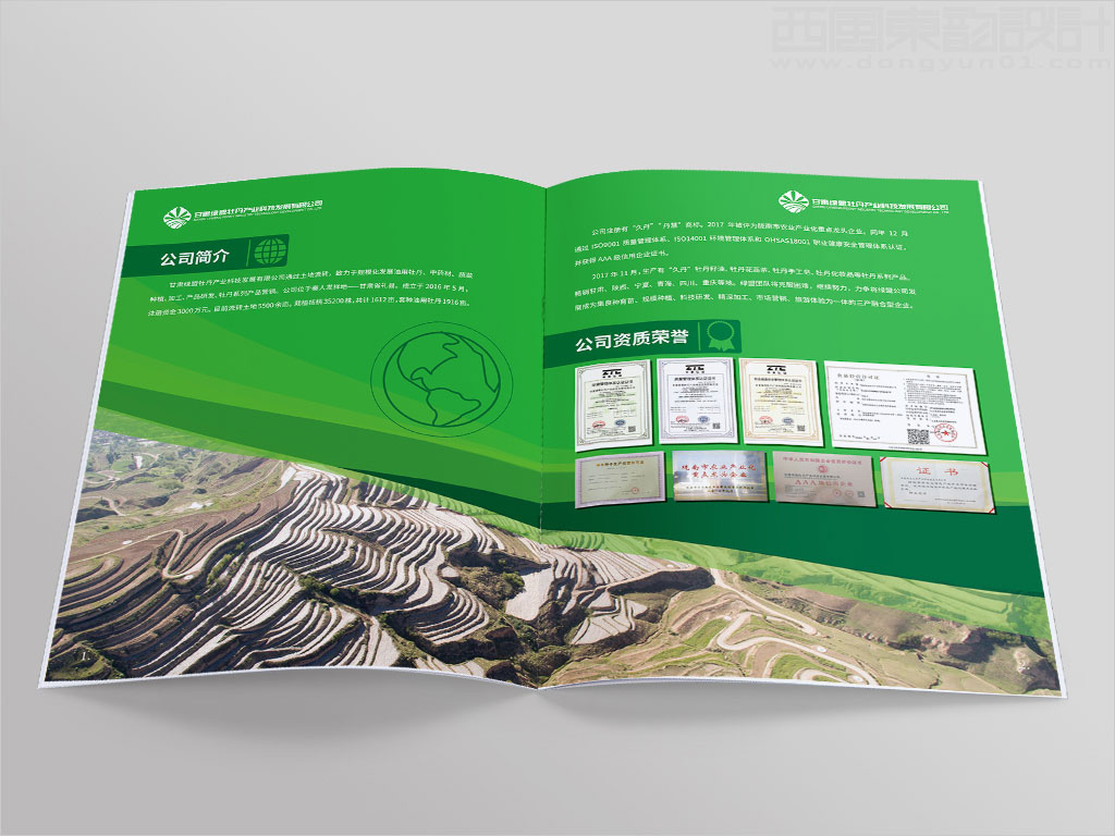 甘肅綠盟牡丹產(chǎn)業(yè)科技發(fā)展有限公司畫冊設計之公司簡介資質榮譽內(nèi)頁設計圖片