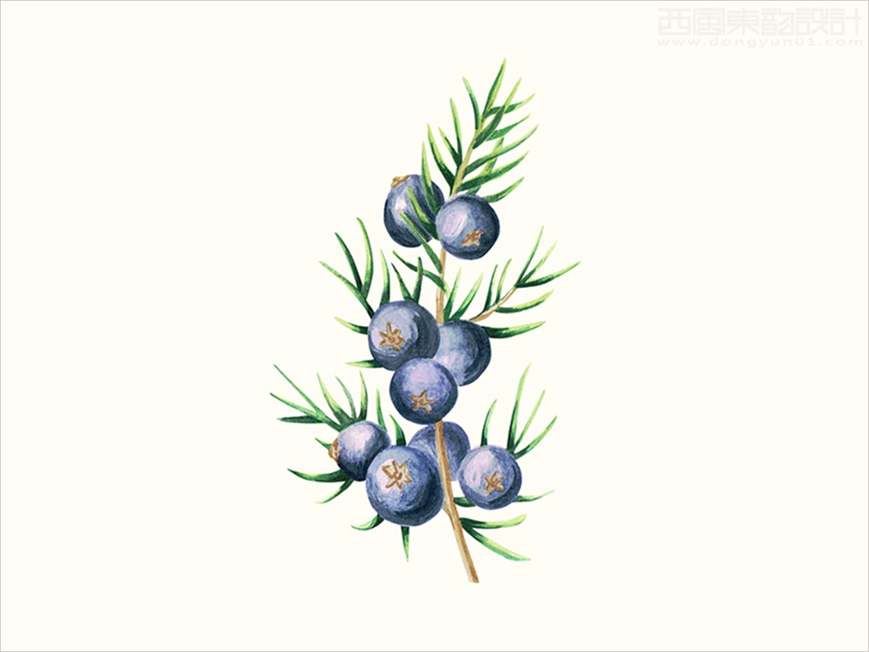 英國(guó)Scence護(hù)膚品包裝設(shè)計(jì)之插畫(huà)設(shè)計(jì)