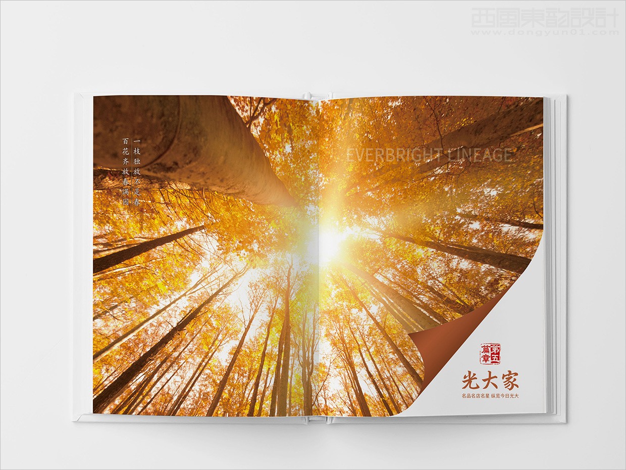 中國(guó)光大集團(tuán)畫冊(cè)設(shè)計(jì)之畫冊(cè)內(nèi)頁(yè)設(shè)計(jì)